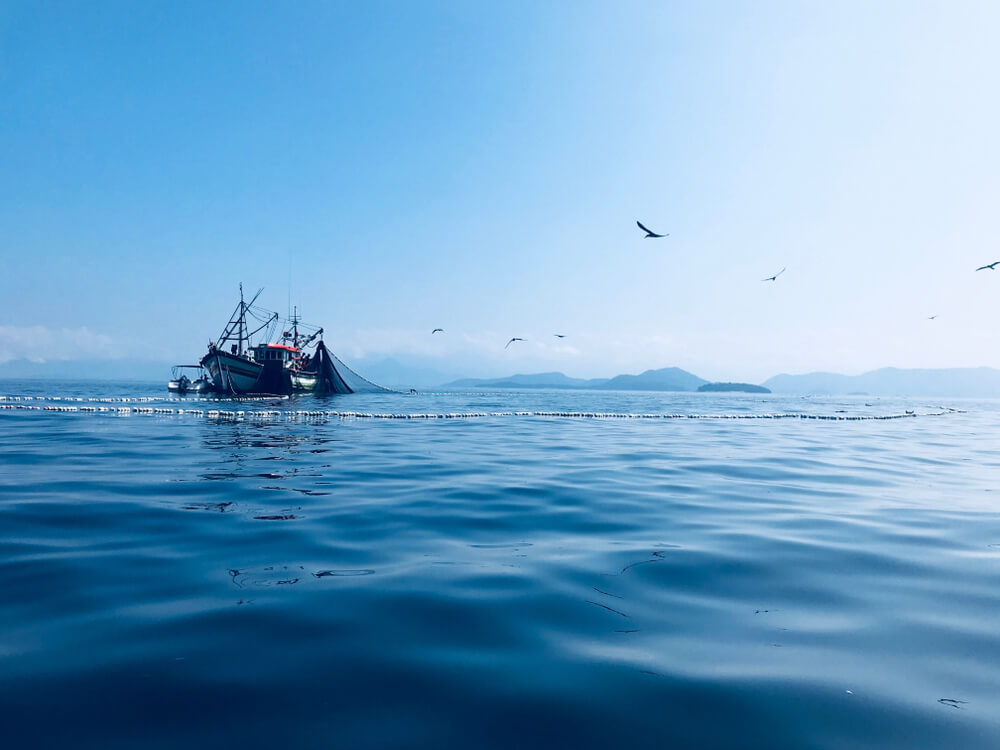 Fishing Boat at sea